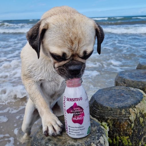 SmoothieDog® | lóhús smoothie menü kutyáknak 250 ml