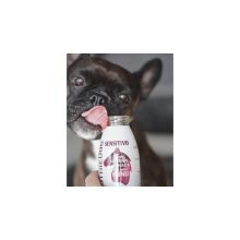 SmoothieDog® | lóhús smoothie menü kutyáknak 250 ml