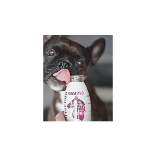 SmoothieDog® | lóhús smoothie menü kutyáknak 250 ml