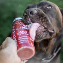 SmoothieDog® | marhahús smoothie menü kutyáknak 250 ml