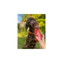 SmoothieDog® | marhahús smoothie menü kutyáknak 250 ml