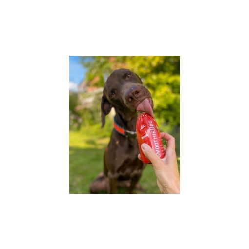 SmoothieDog® | marhahús smoothie menü kutyáknak 250 ml