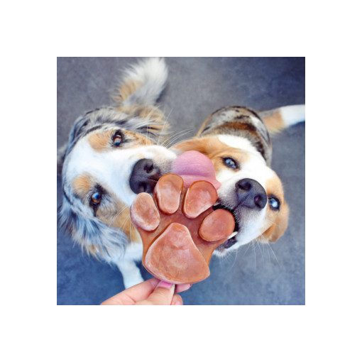 SmoothieDog® | szilikon fagyiforma kutyáknak