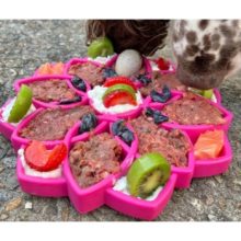 SodaPup® Mandala méreganyagmentes habzsolásgátló tál | lila