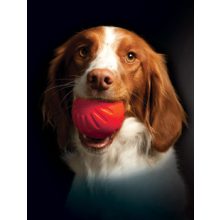 Starmark DuraFoam Bacon Ball szalonna illatú labda | piros M méret