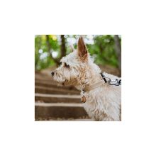TickLess® EcoPet ultrahangos kullancs- és bolhariasztó medál biológiailag lebomló anyagból