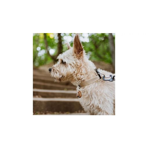 TickLess® EcoPet ultrahangos kullancs- és bolhariasztó medál biológiailag lebomló anyagból