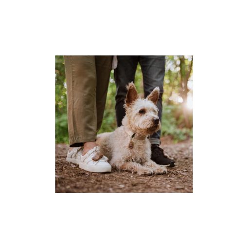 TickLess® EcoPet ultrahangos kullancs- és bolhariasztó medál biológiailag lebomló anyagból