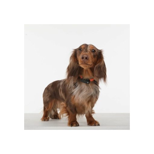 TickLess® Mini Dog tölthető kullancs- és bolhariasztó készülék kutyáknak | zöld