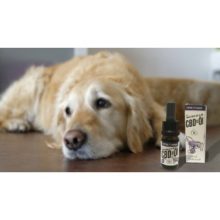 Vetrihemp bio CBD olaj kutyáknak 10 kg felett 12%-os 10 ml