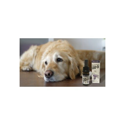 Vetrihemp bio CBD olaj kutyáknak 10 kg felett 12%-os 10 ml
