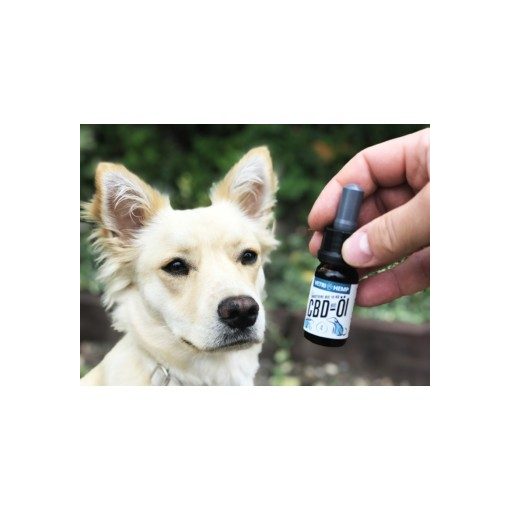 Vetrihemp bio CBD olaj kutyáknak 10 kg-ig 4%-os 10 ml