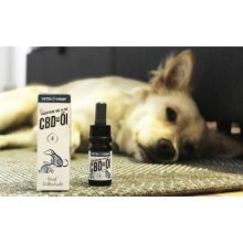 Vetrihemp bio CBD olaj kutyáknak 10 kg-ig 4%-os 10 ml