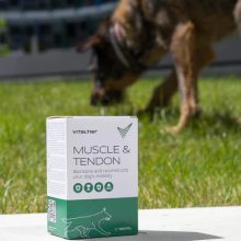 Vitaltier Muscle & Tendon 150 ml