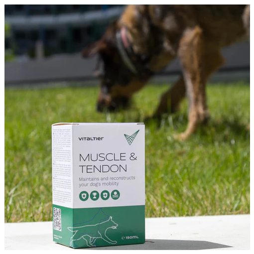 Vitaltier Muscle & Tendon 150 ml