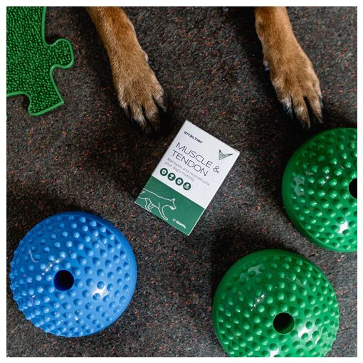 Vitaltier Muscle & Tendon 150 ml