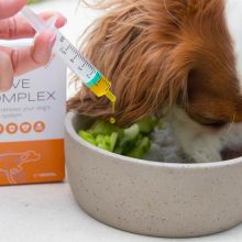 Vitaltier Nerve Complex 150 ml