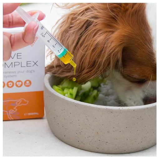 Vitaltier Nerve Complex 150 ml