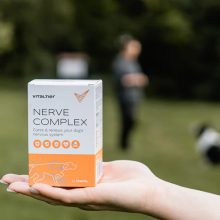 Vitaltier Nerve Complex 150 ml